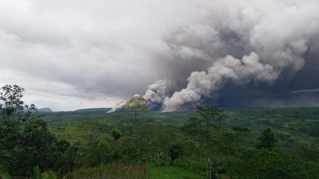 Gunung Semeru Erupsi, Kolom Abu Capai 800 Meter